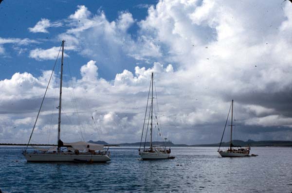Bonaire5
