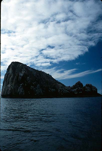 GalapagosLand_40