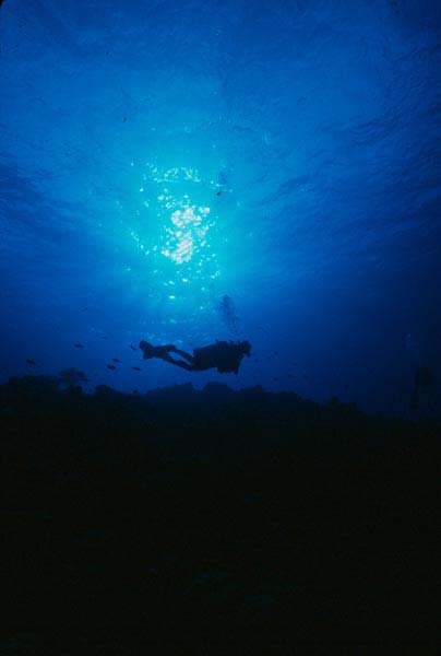 Tahiti20_1103