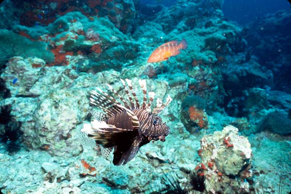 Thailand0204_23