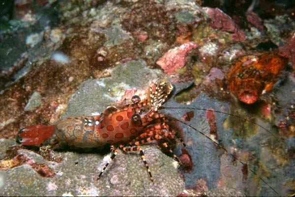 Thailand0204_50