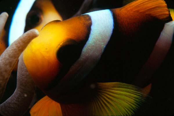 Thailand0204_6
