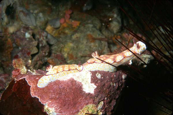 Thailand0204_64