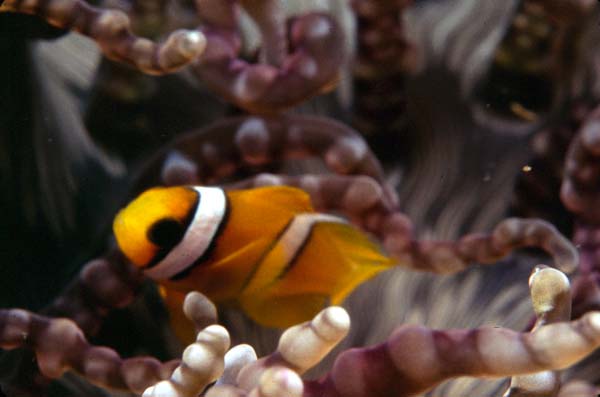 Thailand0204_7
