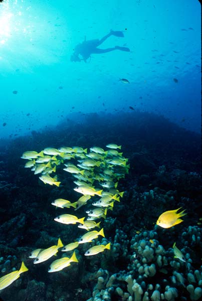 Thailand0204_70