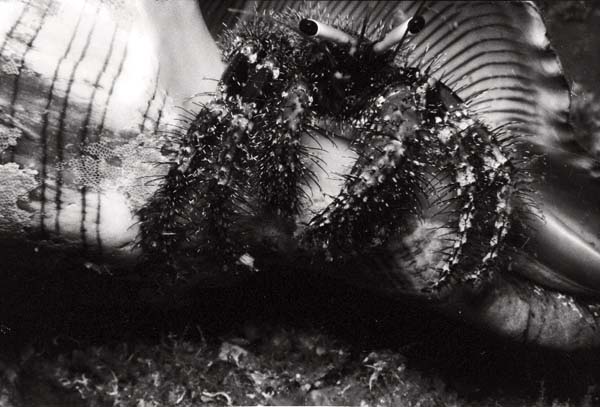 Thailand0204bw_12