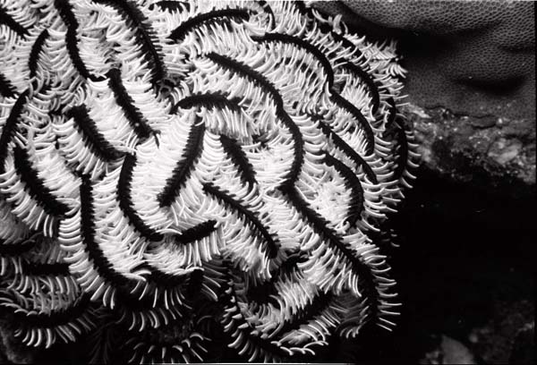 Thailand0204bw_18