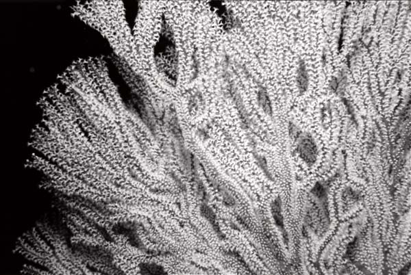 Thailand0204bw_23