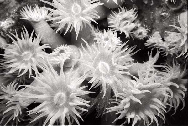 Thailand0204bw_6