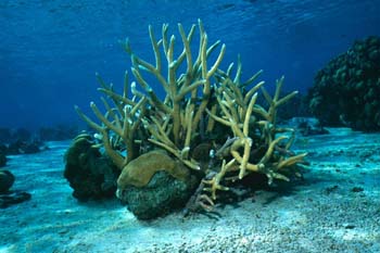 south_caicos3