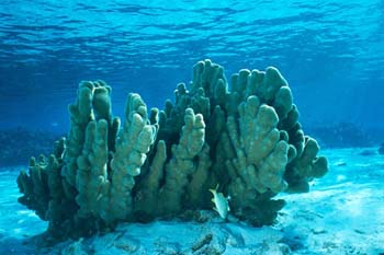 south_caicos5