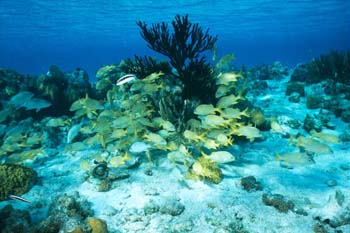 south_caicos6