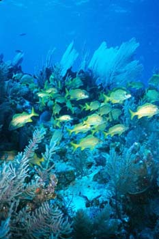 south_caicos7