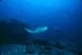 Thailand0204_22