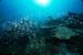 Thailand0204_47