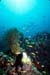Thailand0204_56