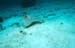 Thailand0204_83