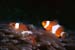 Thailand0204_9
