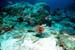 Thailand0204_95
