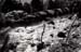bw_sc_7
