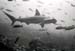 bwhh_0602
