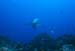 gshark1_0602