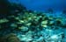 south_caicos2