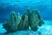 south_caicos5