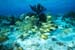 south_caicos6
