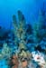 south_caicos9