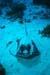 stingray2_sc