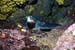 turtle2_0602